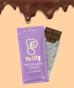 psilly mushroom chocolate